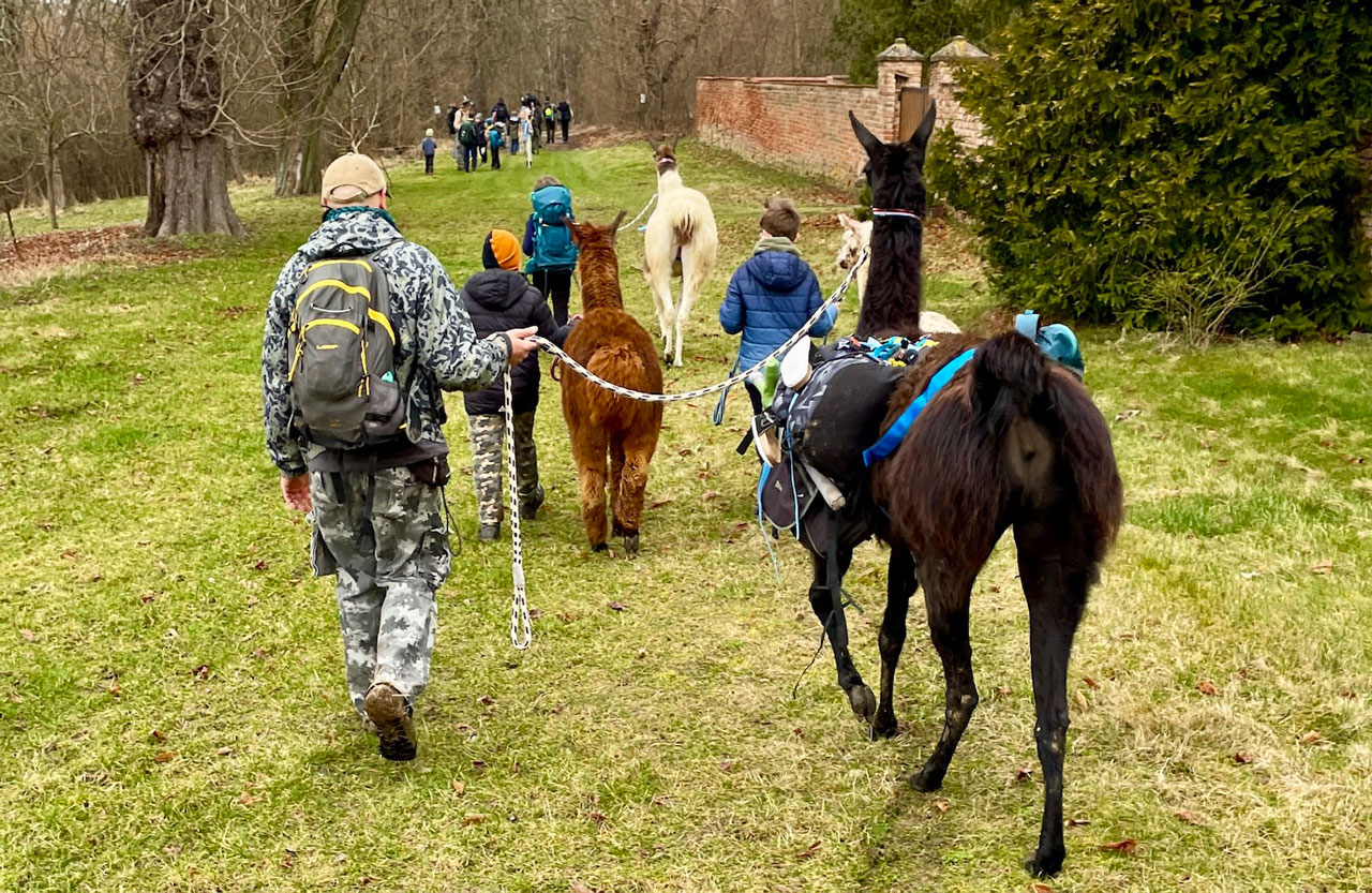 Lamatrekking se skauty v Lískovci